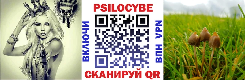 Псилоцибиновые грибы MAGIC MUSHROOMS  Пойковский 